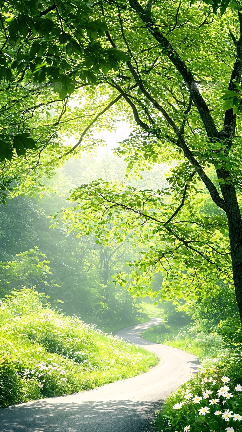 高清大图下载【趣麦麦图】绿色森林中的蜿蜒小路