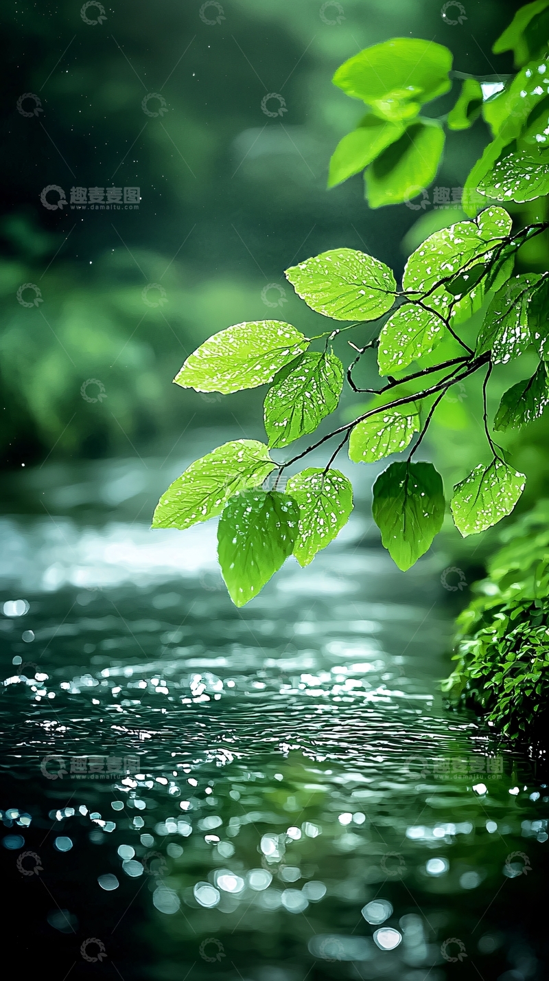 高清大图下载【趣麦麦图】清新自然流水绿叶背景