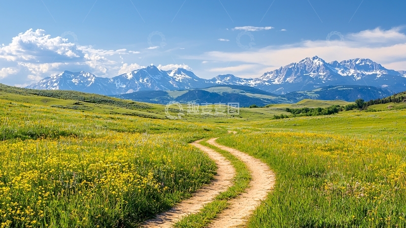 高清大图下载【趣麦麦图】山间小路与野花盛开的美景