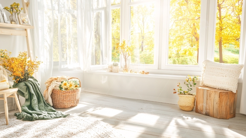 高清大图下载【趣麦麦图】阳光明媚的室内自然风景