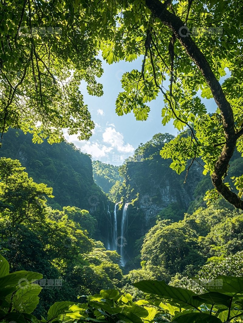 高清大图下载【趣麦麦图】热带雨林中的瀑布美景