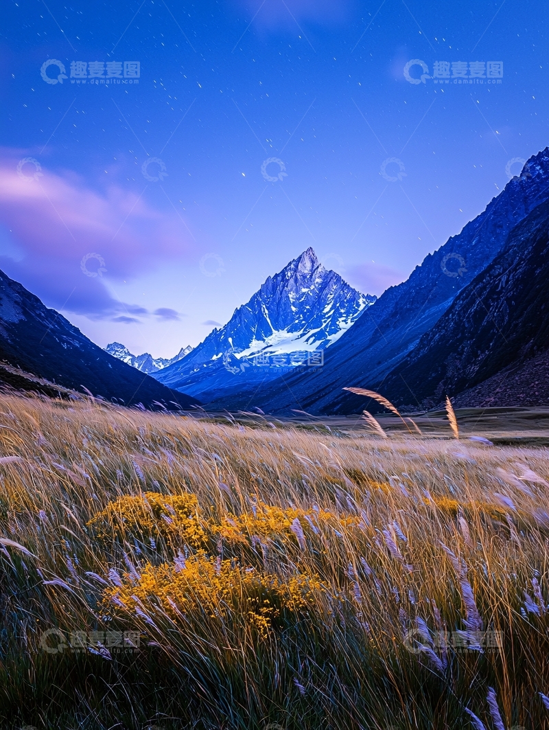 高清大图下载【趣麦麦图】雪山下的草地夜景