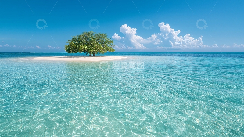 高清大图下载【趣麦麦图】热带孤岛上的树