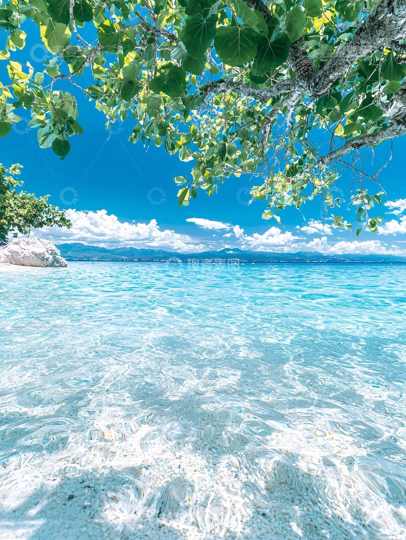 高清大图下载【趣麦麦图】清澈海滩下的树影