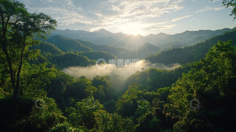 高清大图下载【趣麦麦图】晨雾中的山林风光
