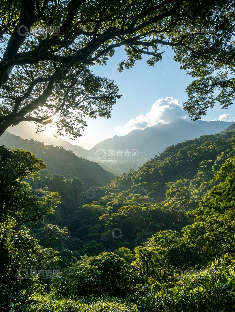 高清大图下载【趣麦麦图】热带雨林山谷风光