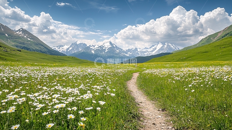 高清大图下载【趣麦麦图】山间小径与野花盛开
