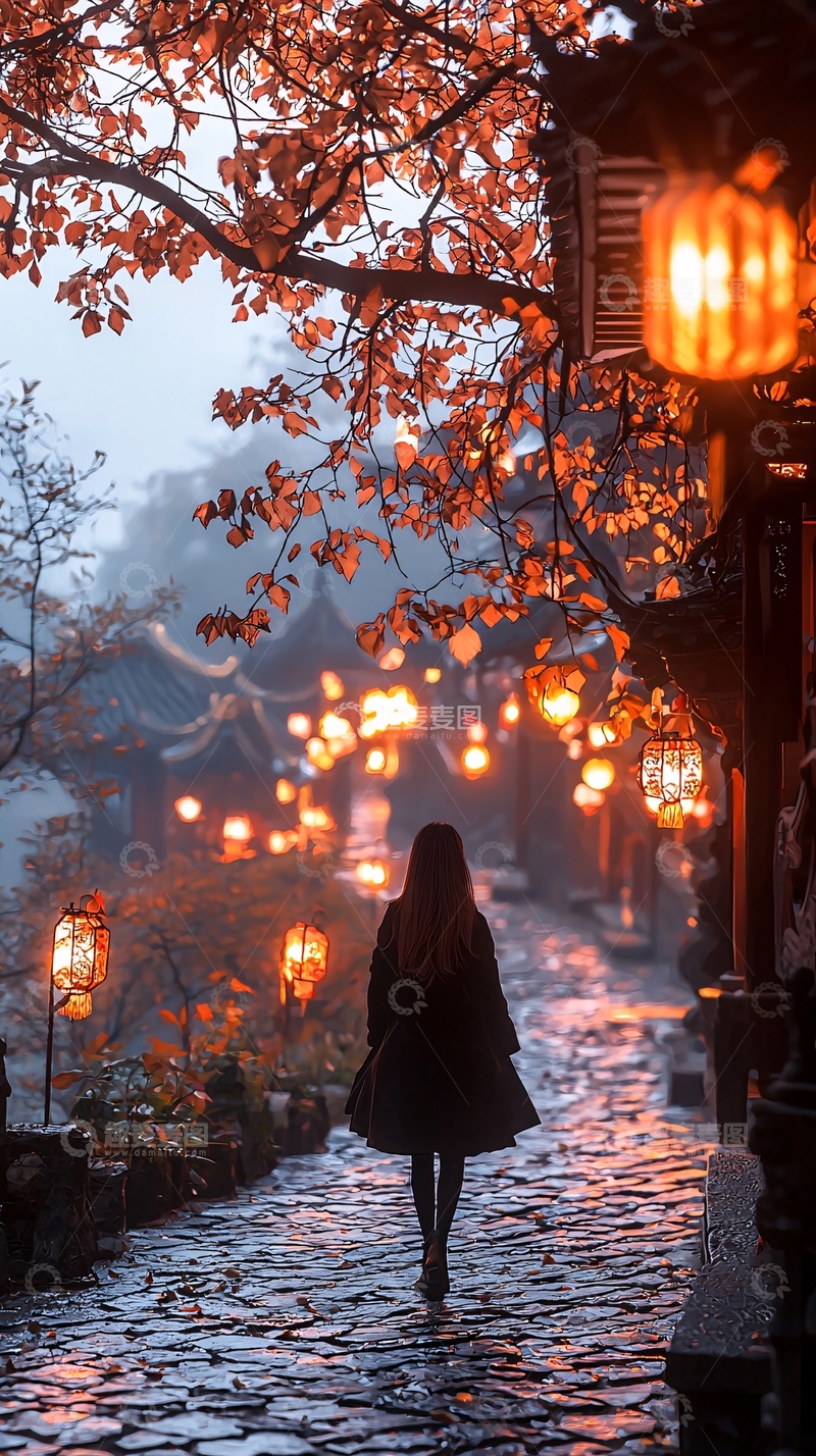 高清大图下载【趣麦麦图】秋夜古街漫步