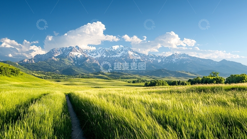 高清大图下载【趣麦麦图】雪山下的绿色田野风景