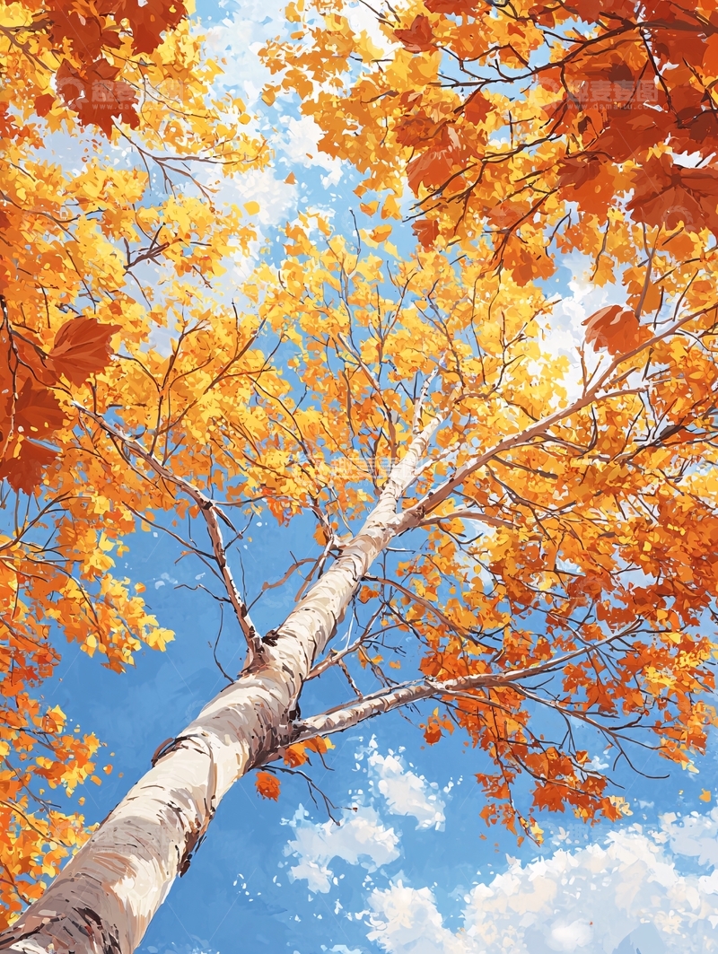 高清大图下载【趣麦麦图】秋日树冠下的蓝天白云