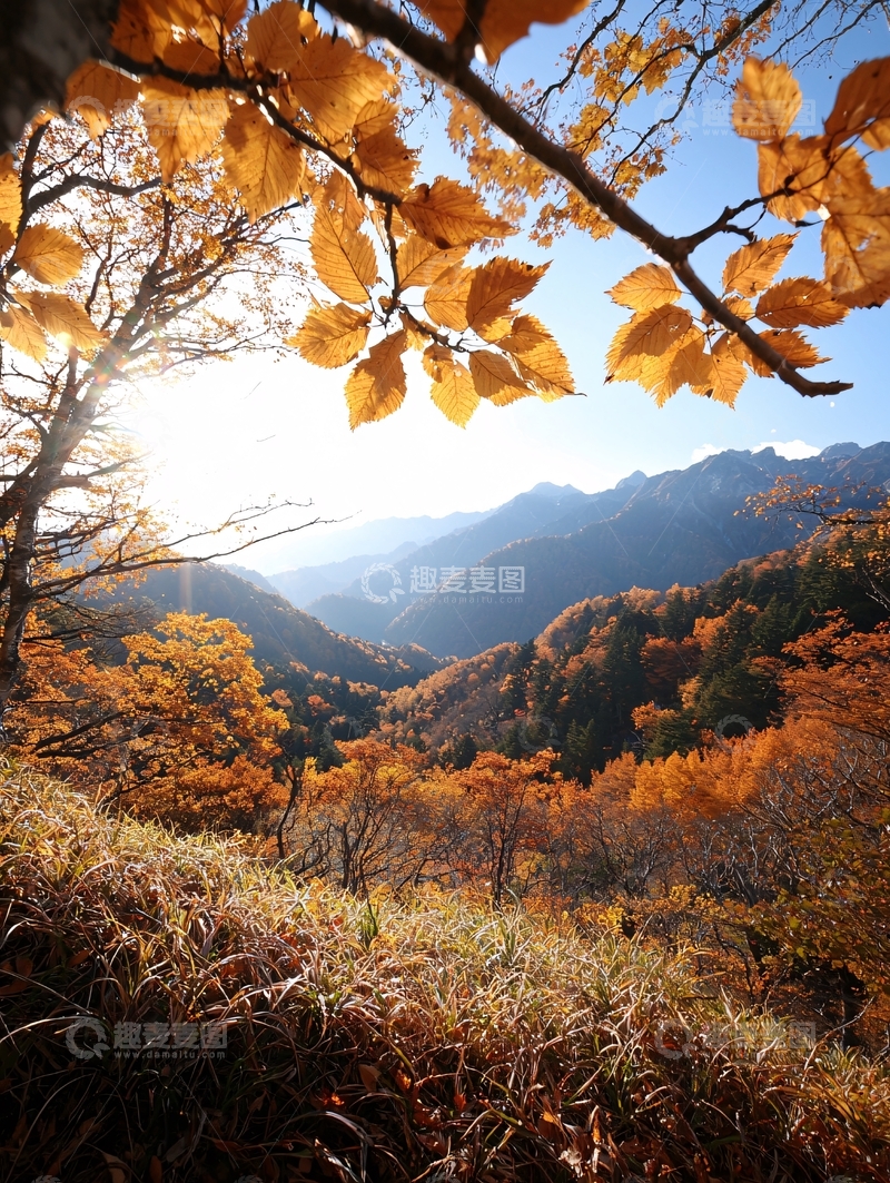 高清大图下载【趣麦麦图】秋日山林景色
