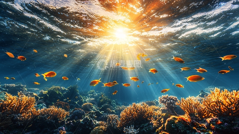 高清大图下载【趣麦麦图】阳光下的珊瑚礁与热带鱼