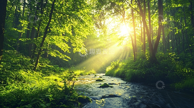 高清大图下载【趣麦麦图】阳光森林小溪自然风光