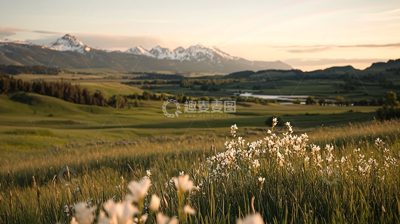 高清大图下载【趣麦麦图】雪山下的田野与野花