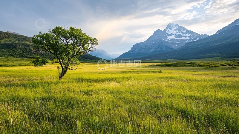 高清大图下载【趣麦麦图】草原上的孤树与雪山