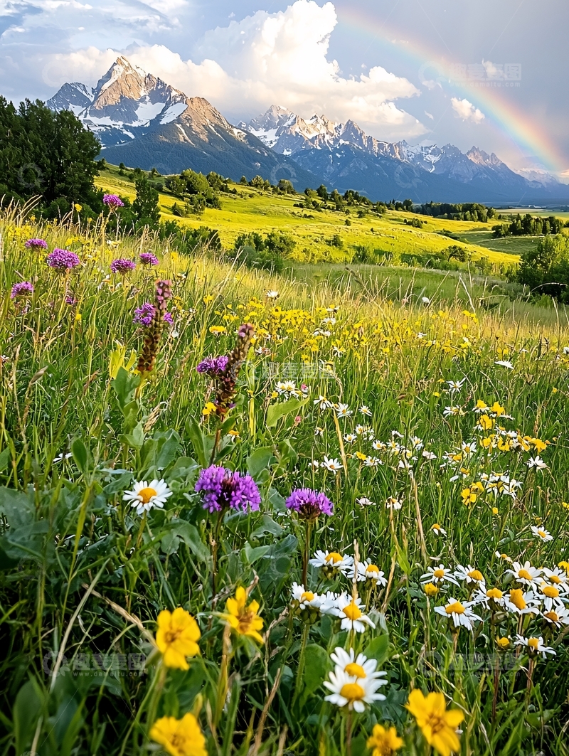 高清大图下载【趣麦麦图】彩虹山野花风景