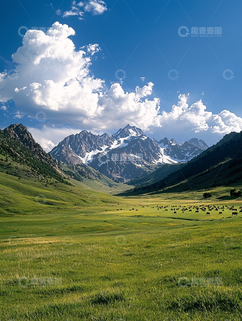 高清大图下载【趣麦麦图】雪山草原牛羊群
