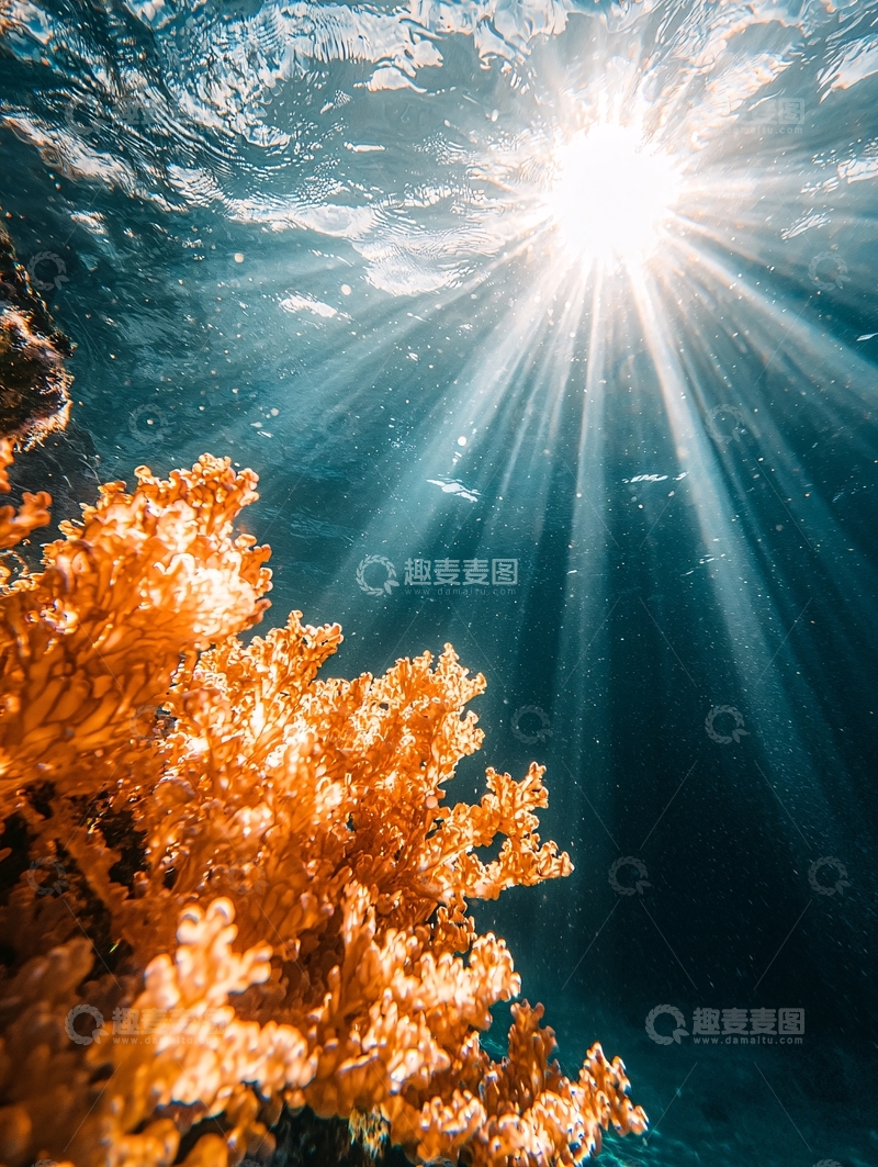 高清大图下载【趣麦麦图】海底珊瑚与阳光穿透水面