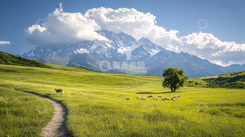 高清大图下载【趣麦麦图】雪山下的田园风光