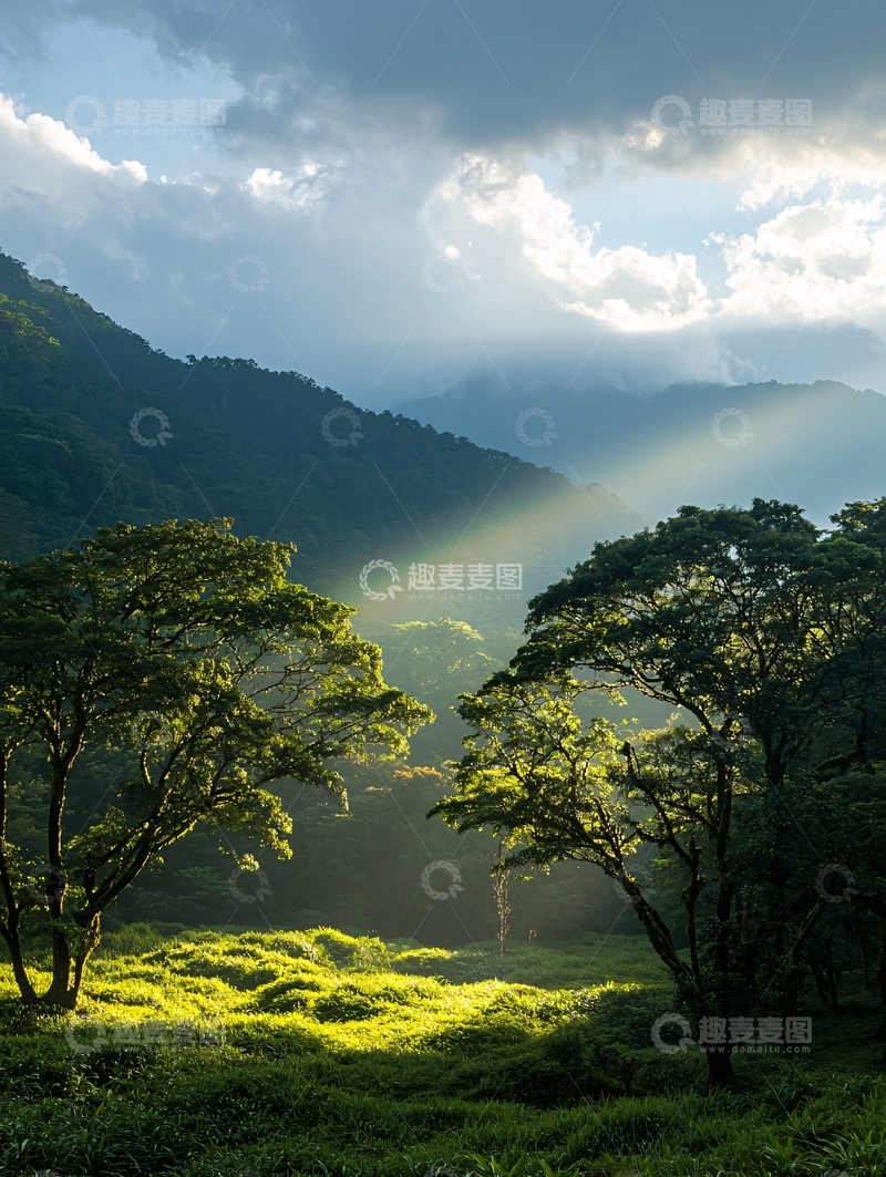 高清大图下载【趣麦麦图】山间阳光穿透树林