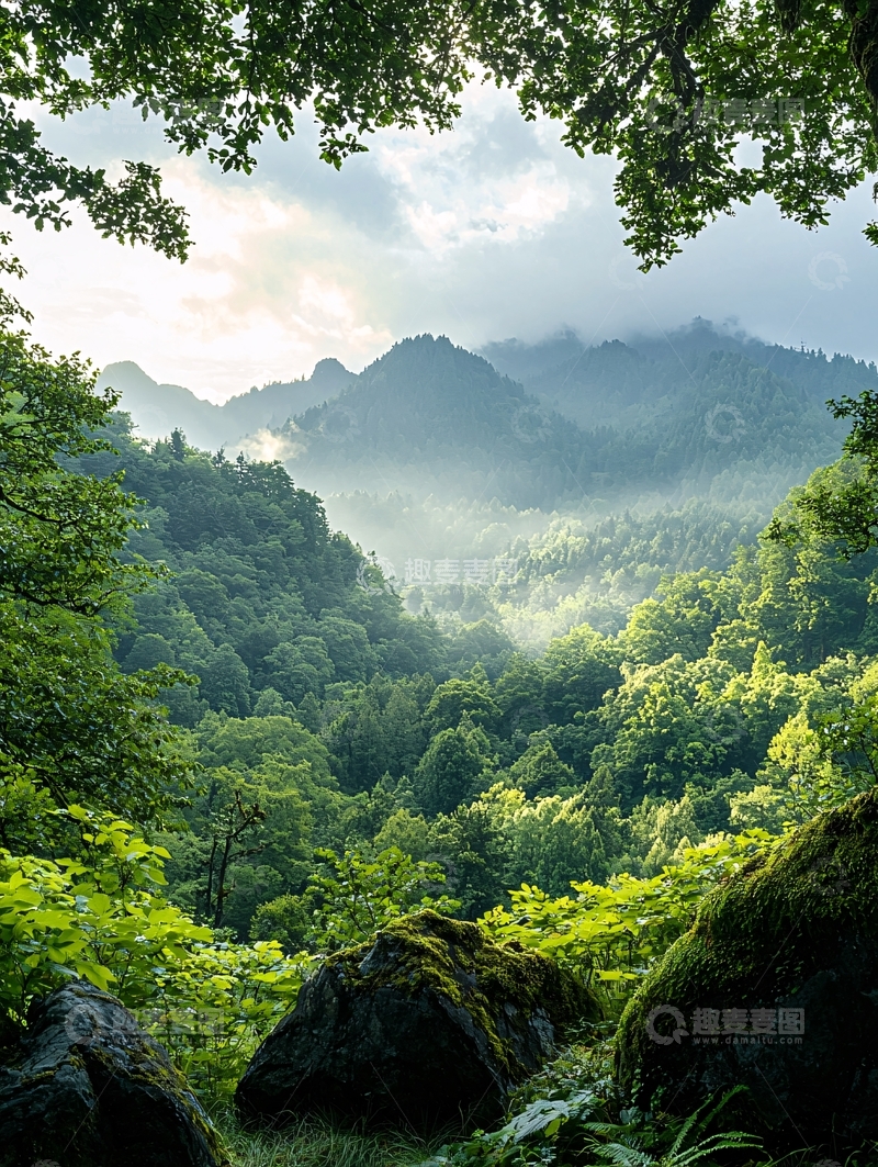 高清大图下载【趣麦麦图】山林晨雾自然风光