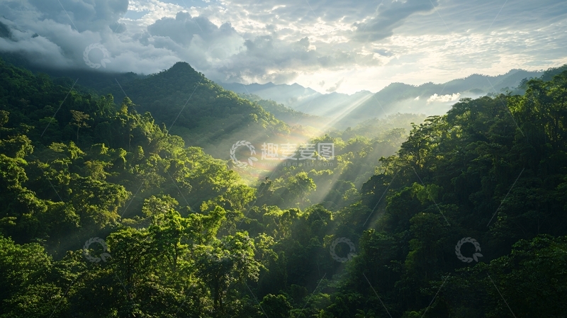 高清大图下载【趣麦麦图】阳光穿透雨林的壮丽景色