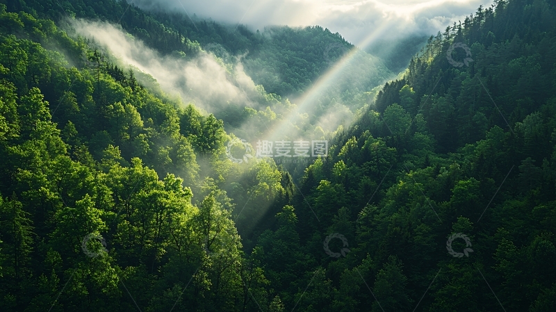 高清大图下载【趣麦麦图】晨雾中的森林山谷