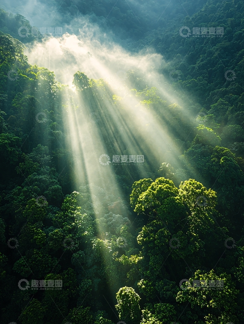 高清大图下载【趣麦麦图】阳光穿透森林的神秘景象