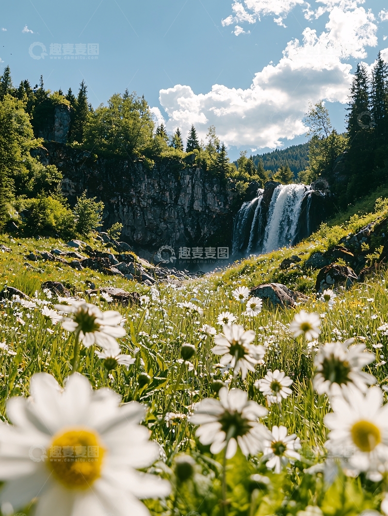 高清大图下载【趣麦麦图】山间瀑布与雏菊的自然美景