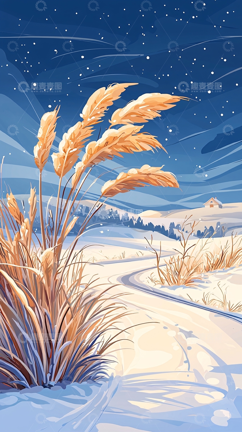 高清大图下载【趣麦麦图】冬夜雪地小径与芦苇