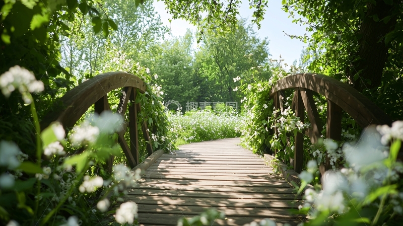 高清大图下载【趣麦麦图】绿色森林中的木桥