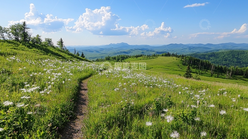 高清大图下载【趣麦麦图】山间小径与野花盛开