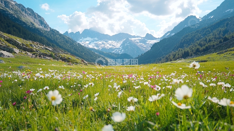 高清大图下载【趣麦麦图】高山花海自然风光