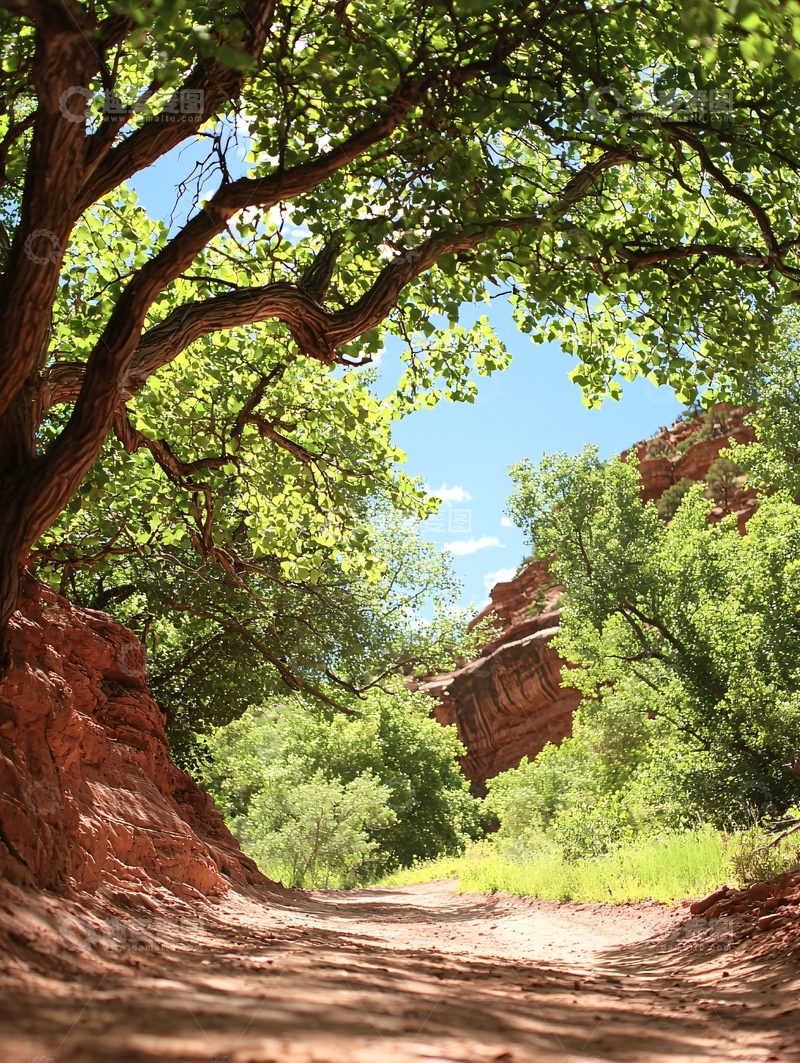 高清大图下载【趣麦麦图】红岩绿树下的小径