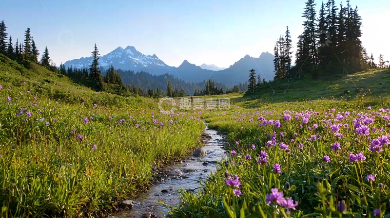 高清大图下载【趣麦麦图】山间小溪与野花盛开