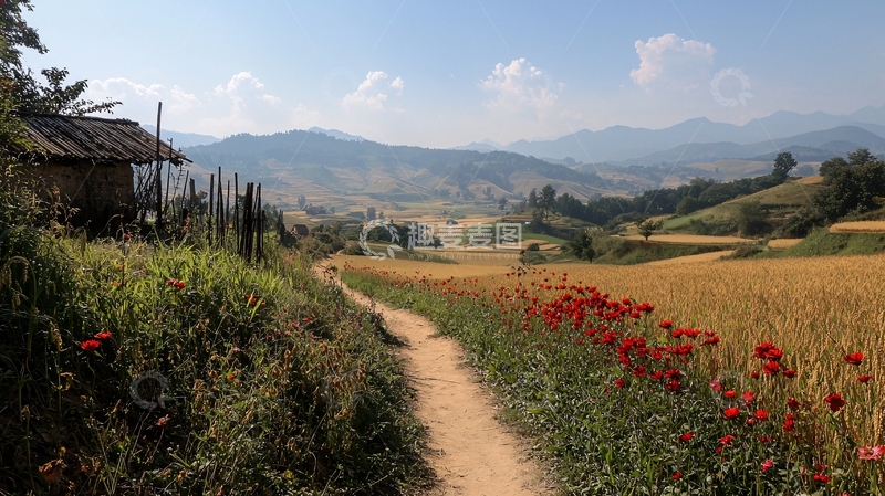 高清大图下载【趣麦麦图】乡村小路与红花盛开的田园风光