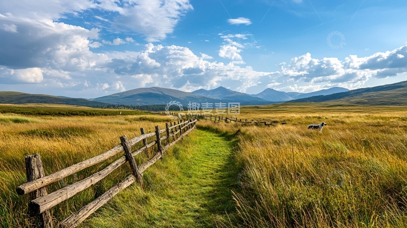 高清大图下载【趣麦麦图】田园风光下的宁静牧场