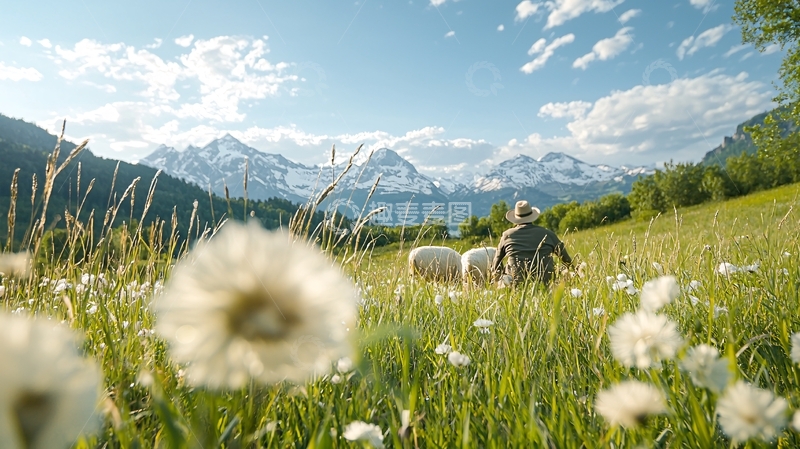 高清大图下载【趣麦麦图】山间草地上的牧羊人
