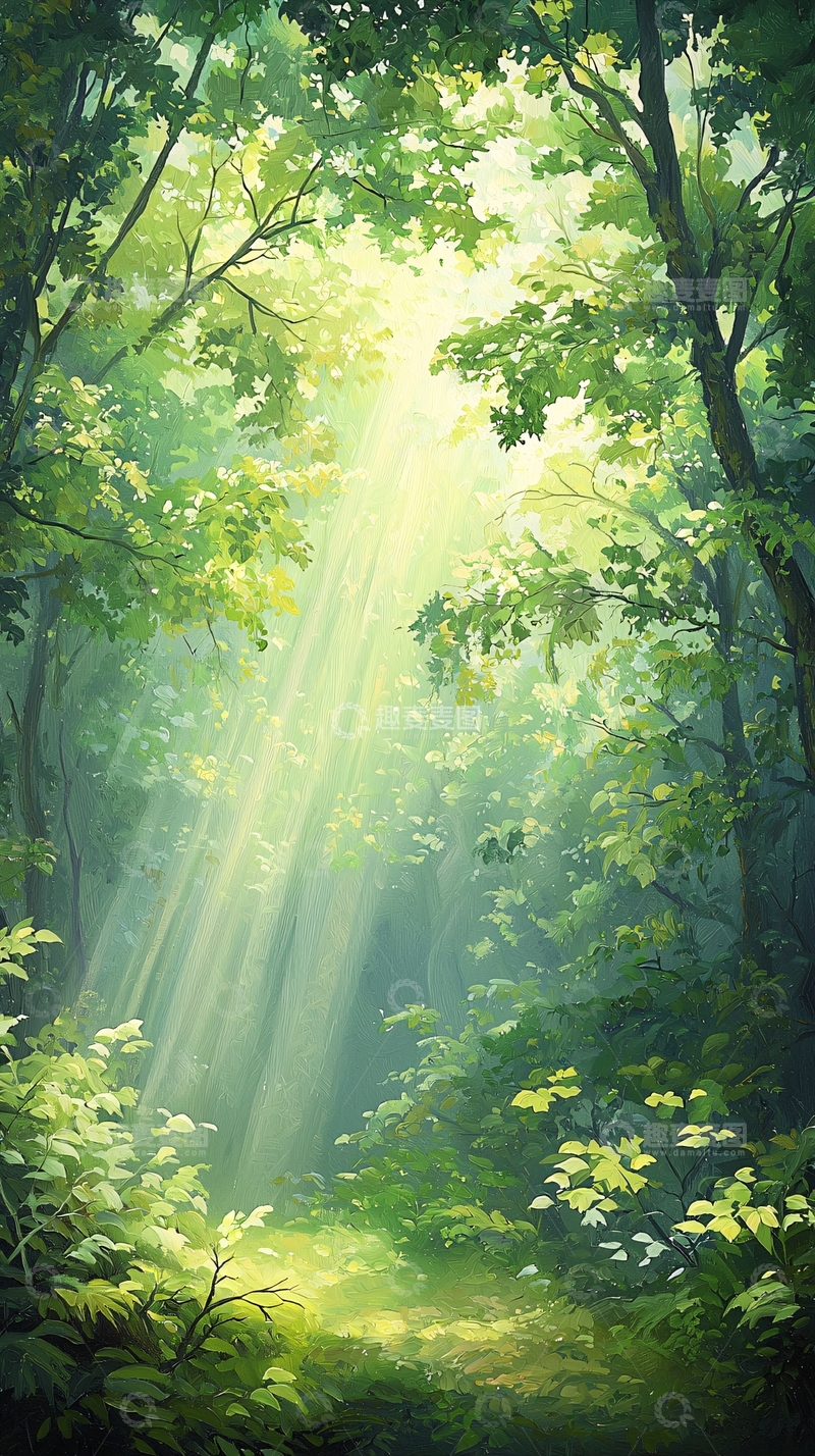 高清大图下载【趣麦麦图】森林中的阳光穿透树叶