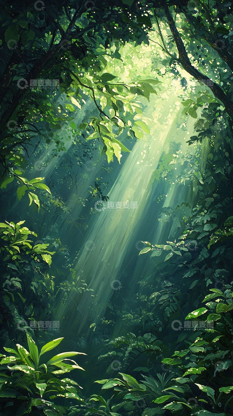 高清大图下载【趣麦麦图】阳光穿透森林