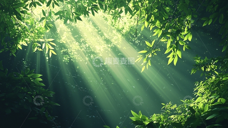 高清大图下载【趣麦麦图】阳光穿透森林树叶