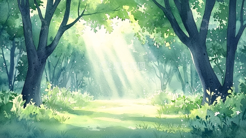 高清大图下载【趣麦麦图】森林中的阳光穿透树梢