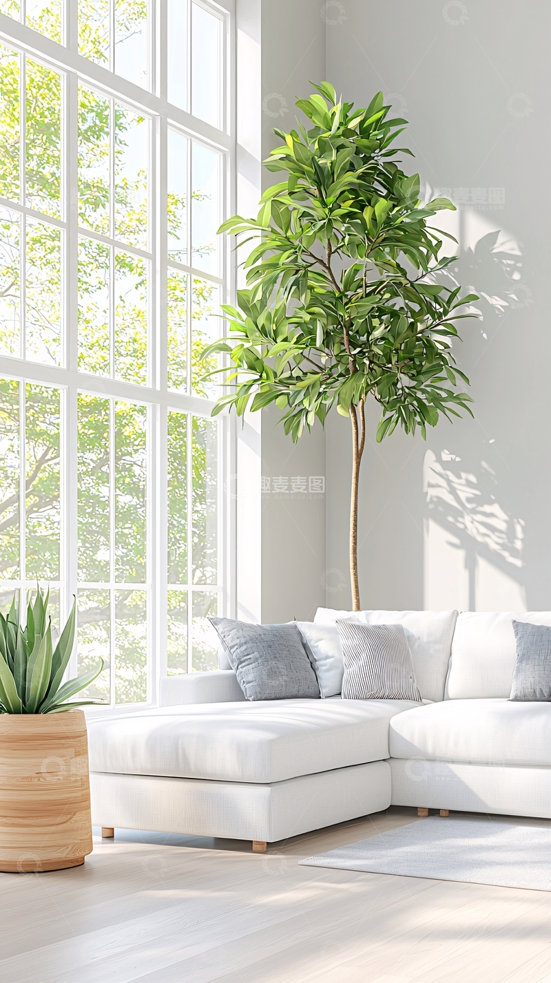高清大图下载【趣麦麦图】现代简约客厅绿植装饰