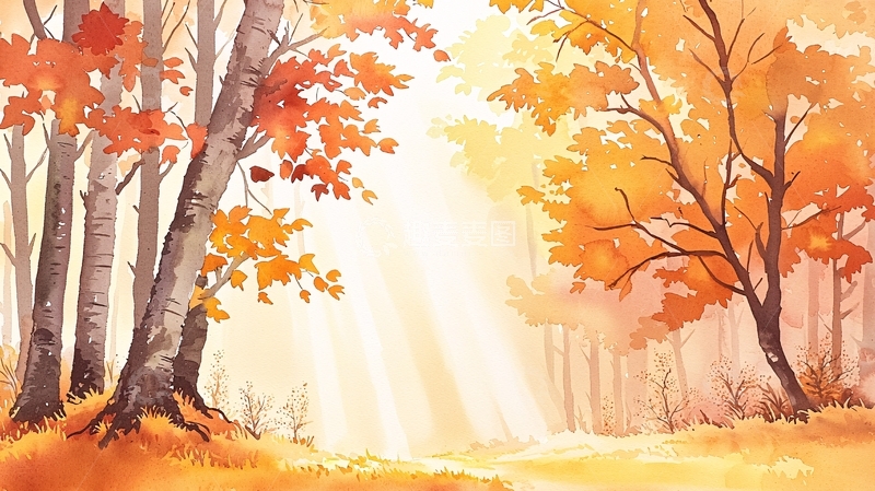 高清大图下载【趣麦麦图】秋日森林阳光透过树叶