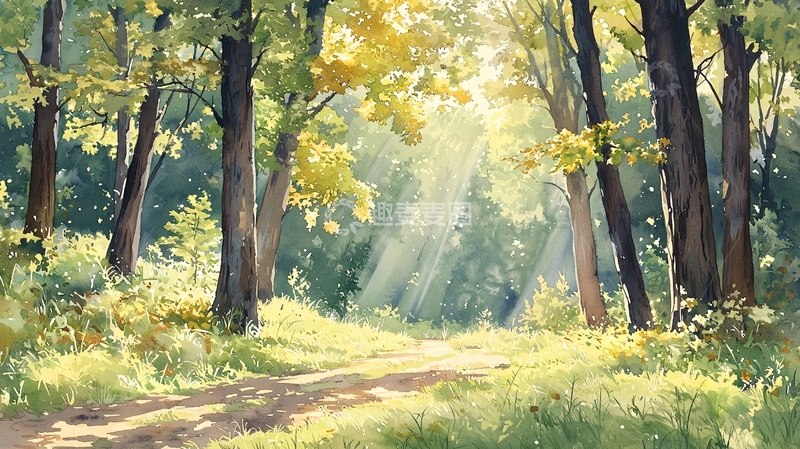 高清大图下载【趣麦麦图】阳光透过树林的小径