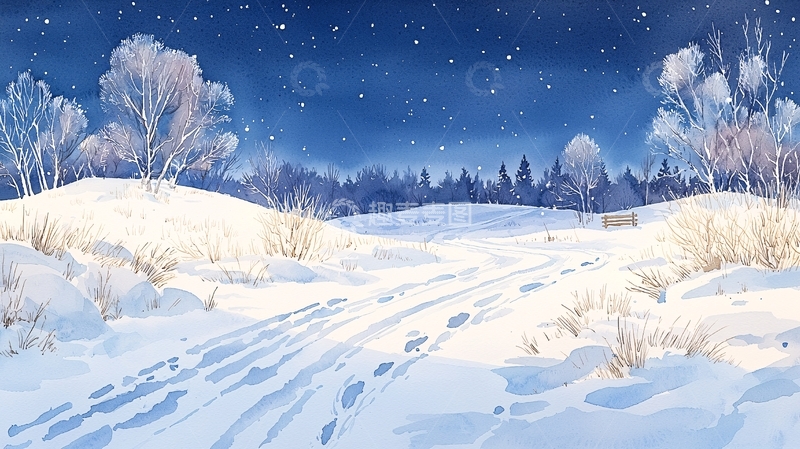 高清大图下载【趣麦麦图】冬夜雪景下的小径