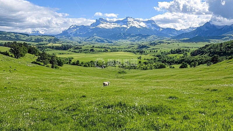 高清大图下载【趣麦麦图】阿尔卑斯山下的绿色牧场