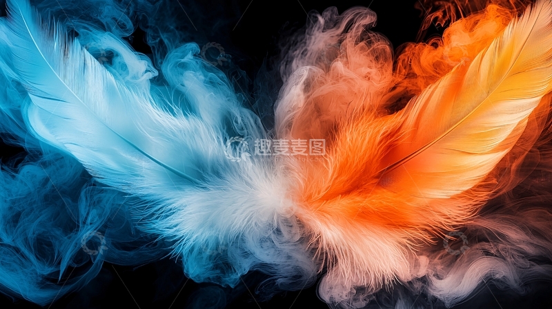 高清大图下载【趣麦麦图】色彩羽毛与烟雾的艺术对比