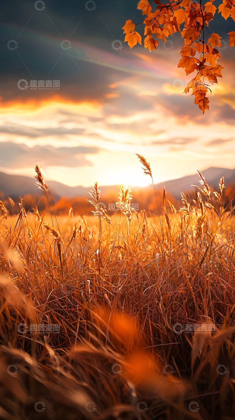 高清大图下载【趣麦麦图】秋日田野夕阳美景