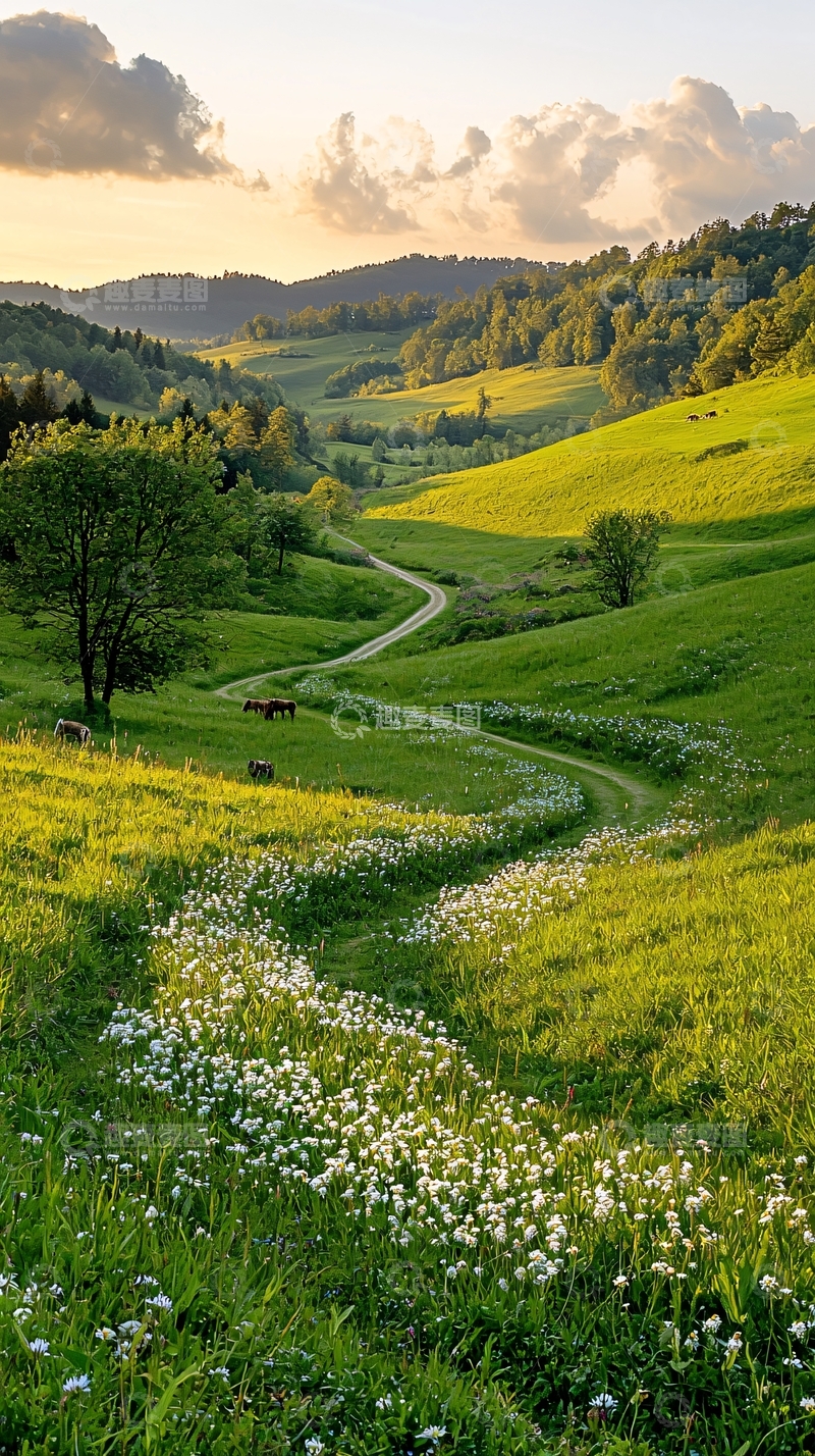 高清大图下载【趣麦麦图】夕阳下的田园风光